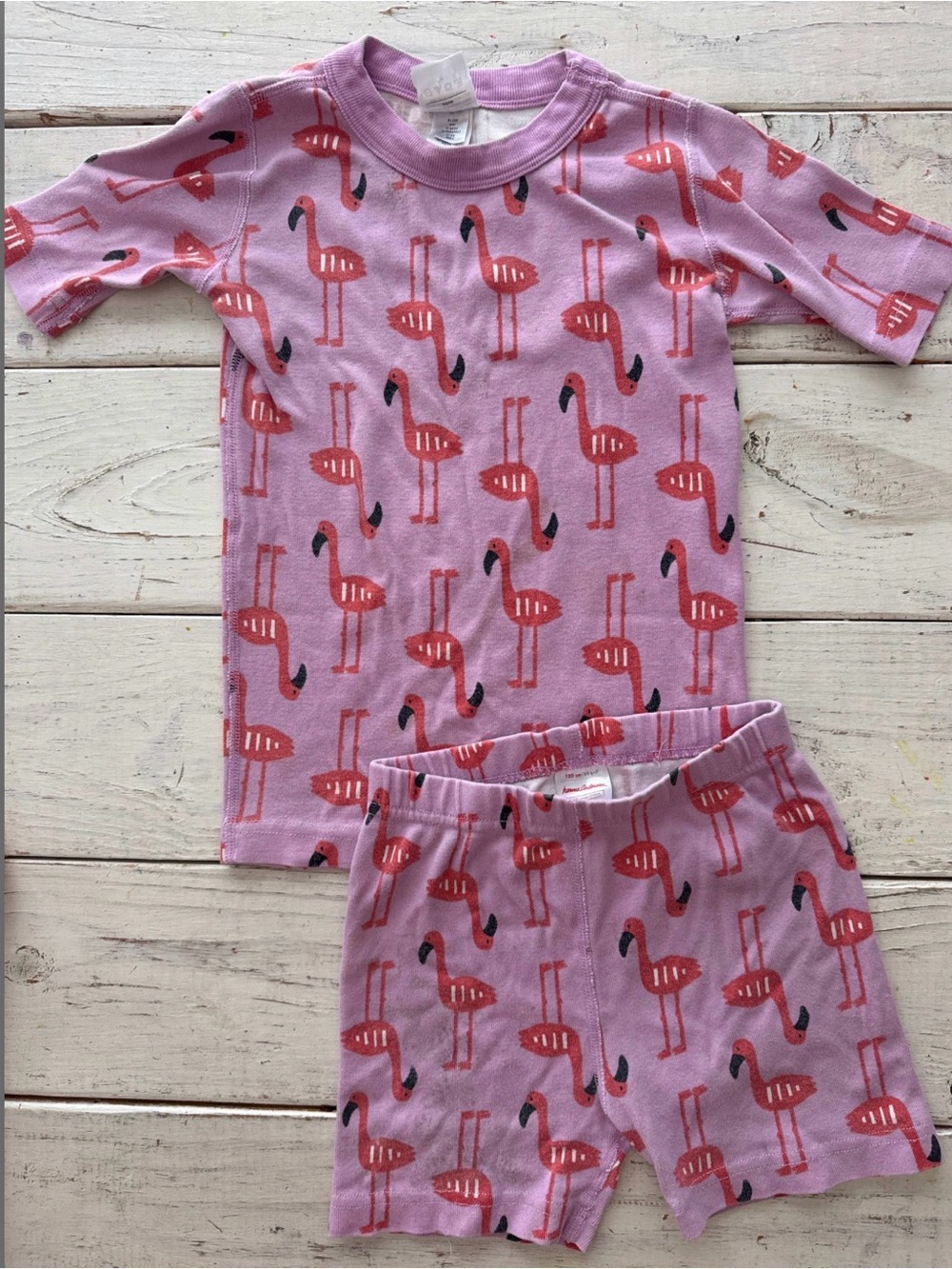Flamingos in Lagoon Hanna Andersson Short Johns Set